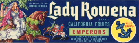 Lady Rowena